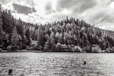 Gölün siyah beyaz görüntüsü