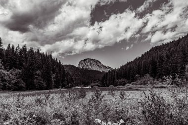 Güzel dağ manzara arka plan