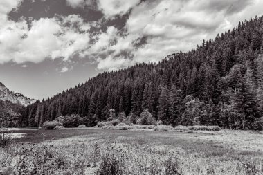Dağlardaki bir dağ nehrinin siyah beyaz görüntüsü
