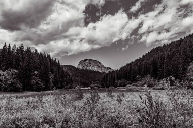 Dağlarda sıradağları olan güzel bir manzara.