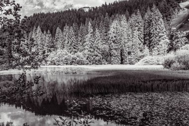 Güzel bir manzaranın siyah beyaz fotoğrafı