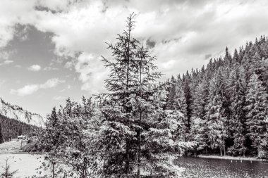 Arkasında dağlar ve nehir olan güzel bir manzara.