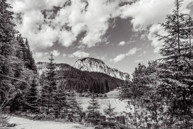 Ormanın ortasında ağaçlarla kaplı kayalık bir dağın güzel manzarası.