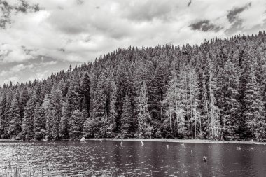 Dağlardaki güzel göl