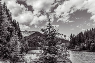 Dağların güzel manzarası