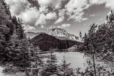 bir gölün siyah beyaz fotoğrafı