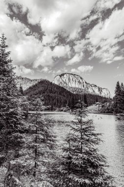 Bulutlu gökyüzünün altında ormanla çevrili güzel bir göl görüntüsü.