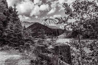 Karpat Dağları, Romanya 'nın güzel manzarası.