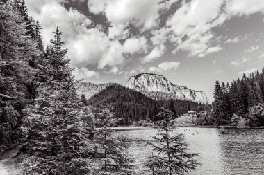 Karpatlar 'daki güzel dağ gölü