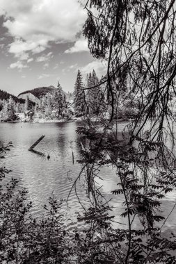 Güzel göl manzarası