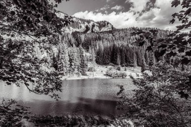 Ormandaki gölün siyah beyaz fotoğrafı