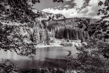 Dağların siyah beyaz fotoğrafı