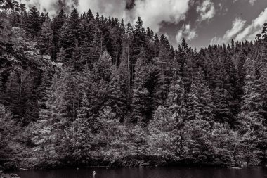 Ormandaki göl ve dağ