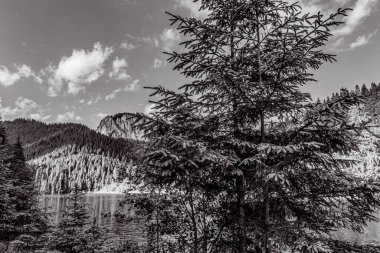 Dağlardaki güzel dağ manzarası