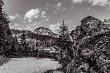 Gündüz vakti açık gökyüzünün altında kayaların yakın çekim görüntüsü.