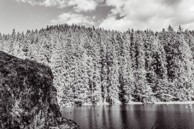 Kış mevsiminde gölün siyah beyaz görüntüsü