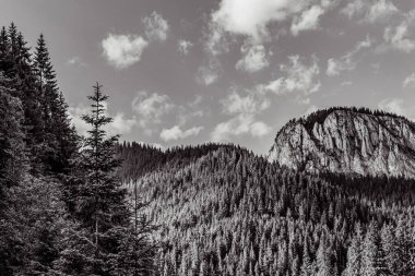 bir dağ manzarasının siyah beyaz fotoğrafı