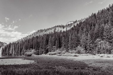 Yellowstone Ulusal Parkı 'nın siyah beyaz görüntüsü
