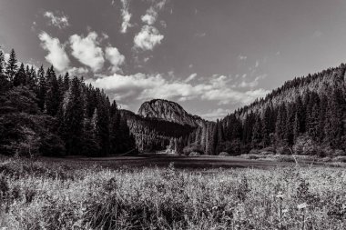 Doğanın güzel manzarası