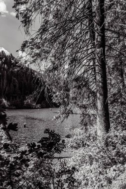 Dağları ve ormanları olan bir göl. siyah ve beyaz.