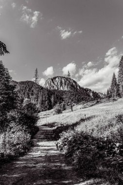 güzel bir dağ manzarasının siyah ve beyaz görüntüsü