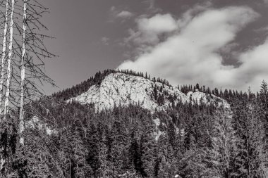 Dağlarda karla kaplı ormanlarla kaplı güzel dağ manzarası
