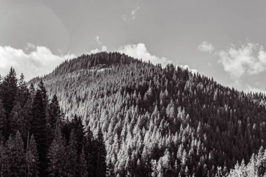 Kışın dağlarda sıradağlar