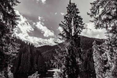 Karpatlar 'daki güzel dağ gölü