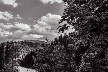 Karpat Dağları 'ndaki güzel dağ manzarası. siyah ve beyaz.