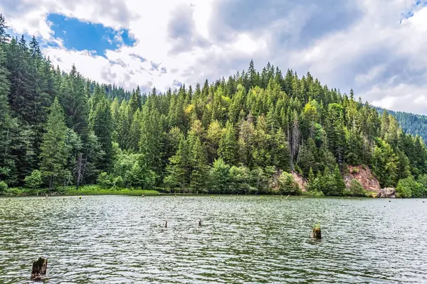 Bulutlu gökyüzünün altındaki ağaçlarla çevrili güzel bir göl manzarası