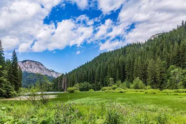 Üzerinde dağlar olan bir göl manzarası..