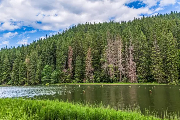 Dağlardaki gölün güzel manzarası