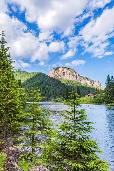 Ormandaki mavi gökyüzünün altında yeşilliklerle çevrili güzel bir dağ manzarası.