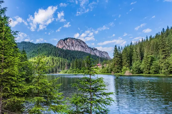 Sabah gölü, ormanı ve dağları olan güzel bir dağ manzarası. tatry, Polonya