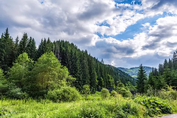Dağlarda yolu olan güzel bir manzara.