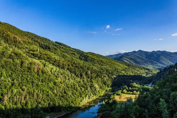 Ormandaki dağ gölü