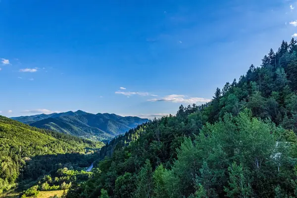 Karpatlar 'da dağları olan güzel bir manzara.