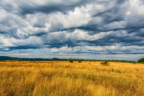 Arkasında bulutlu bir gökyüzü olan açık bir arazinin güzel bir görüntüsü.