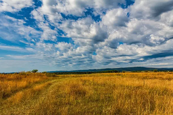 Ağaçlarla ve mavi gökyüzüyle güzel bir manzara.