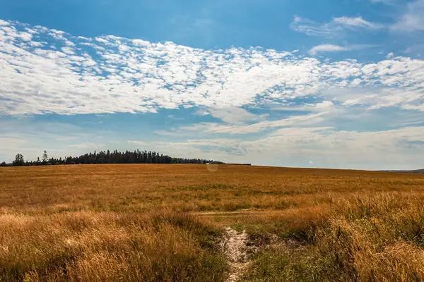 Dağlardaki kırsal bir yolun güzel manzarası.