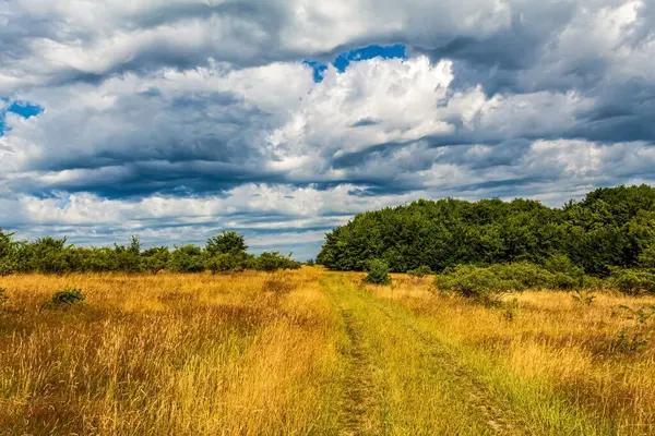 beautiful summer landscape with a cloudy sky