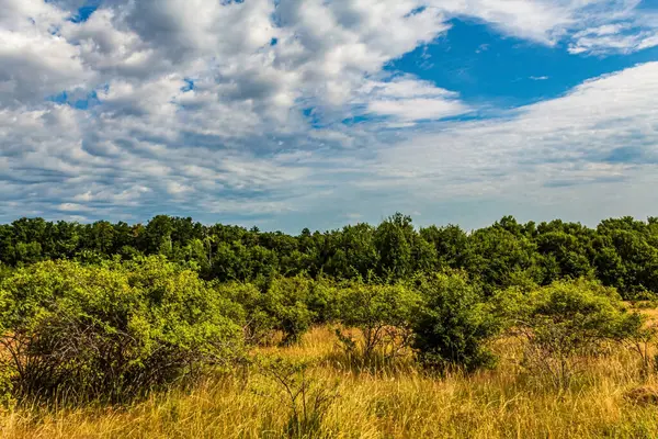Bulutlu güzel bir manzara.
