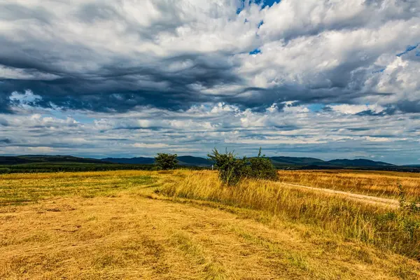 Güzel manzara. doğa arkaplanı