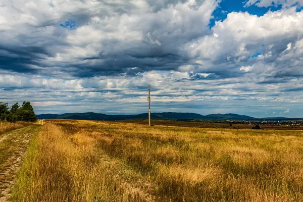 Çimen tarlası olan kırsal alan