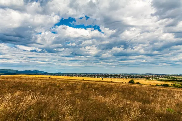Bir çayır manzarası ve uzaktaki bir dağ.