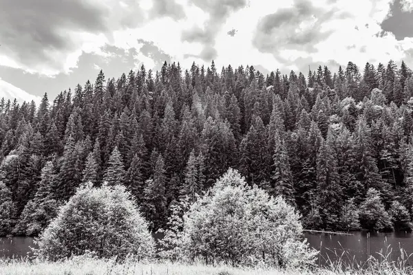 bir dağın siyah beyaz fotoğrafı