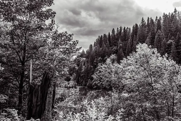 Parkın güzel manzarası. Doğa