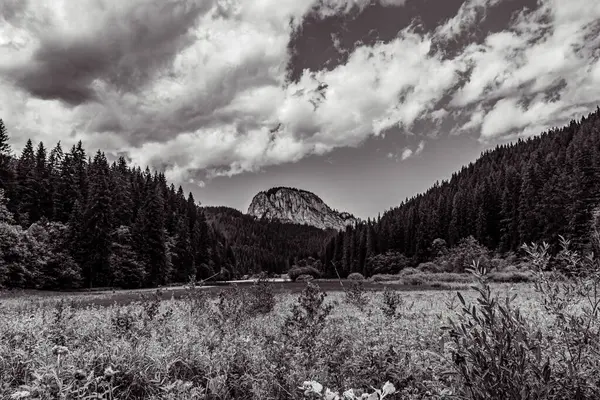 Güzel dağ manzara arka plan
