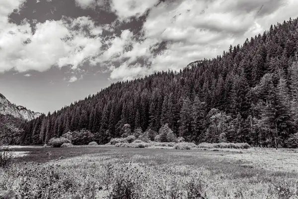 Dağlardaki bir dağ nehrinin siyah beyaz görüntüsü