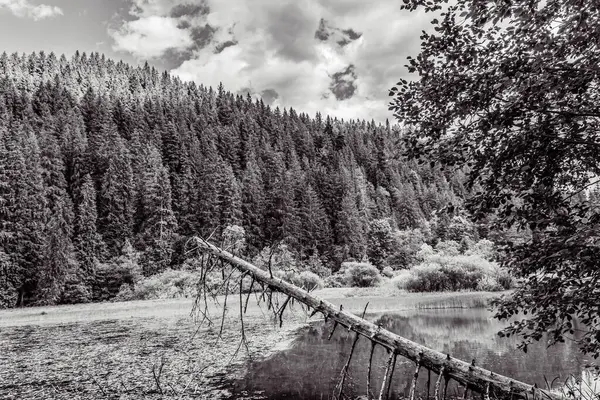 Dağlardaki güzel göl. Doğa